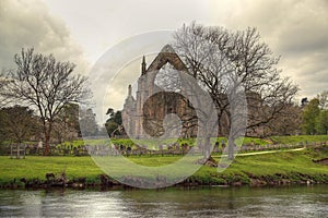 Ruin of Bolton Abbey.