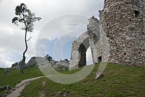 Zrúcanina hradu Hrušov a osamelý strom