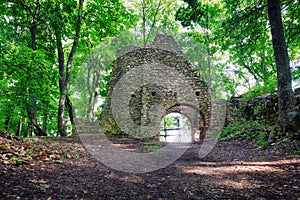 Ruin of castle Muran in Slovakia