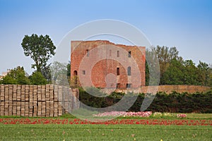 The ruin castle Teylingen in Sassenheim over the flowerfeelds