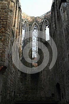 Ruin of cathedral on Oybin castle and monastery