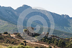 Ruin of chateau du Prince Pierre Corsica