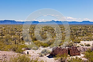 Ruin house Sonora Desert Organ Pipe Cactus NM AZ