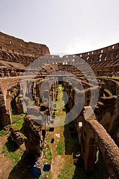 Ruin inside Colosseum