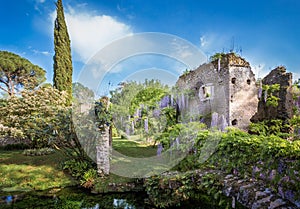 Ruin and lush vegetation in the Garden of Ninfa photo