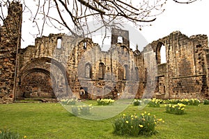 Ruin of medieval abbey