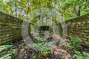 Ruin in Metropolitan National Park in Panama-City.