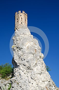 Zřícenina hradu Děvín