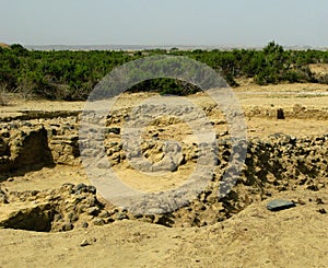 Ruin of old historic Archaeological excavations at Adulis, Eritrea