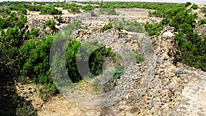 Ruin of old historic Archaeological excavations at Adulis, Eritrea photo