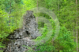 A ruin of an old stone house overgrown in dense forest in Kamnik Savinja Alps in Carinthia, border Austria and Slovenia