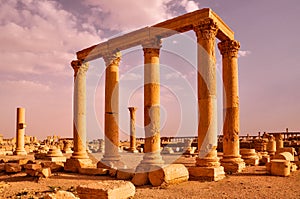 Ruin of Palmyra
