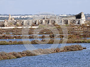 Ruin in the Tavira saltmarshes.