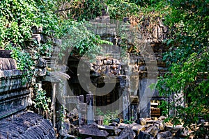 Ruin of the Temple Beng Mealea, Angkor, Siem Reap. Destroyed by the rapid growth of trees and plants in the jungle.