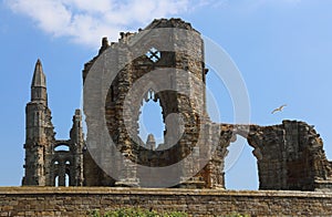 Ruin of Whitby Abbey