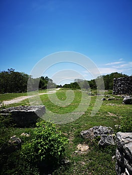 Ruina maya photo