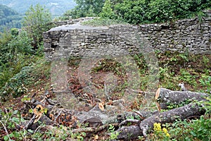 Ruine Grefenstein