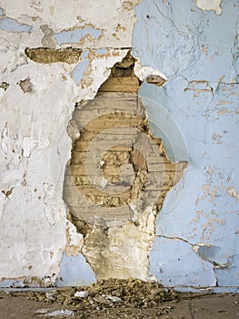 Ruined 18th c. Plaster Wall Showing Riven Lath and Mud Infill