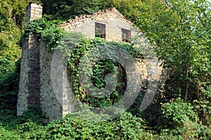 Ruined Abandoned House