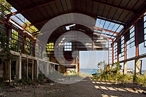 Ruined abandoned industrial building. Overgrown remains of rusty frame