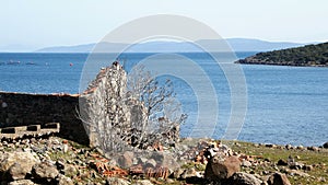 Ruined and abandoned old house by the ocean