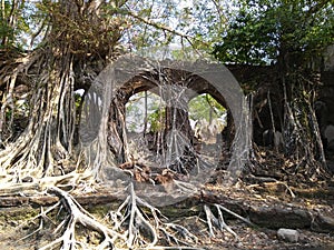 Ruined and abandoned structure on Ross Island having a prosperous history and a story to tell