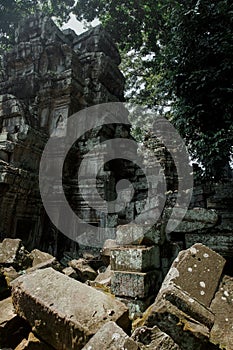 Ruined ancient architecture of Ta Prohm, Angkor Wat, Cambodia