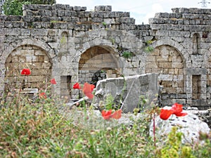 Ruined ancient gate and red flowers