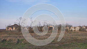 A ruined barn on an abandoned livestock farm. Ruins overgrown with plants