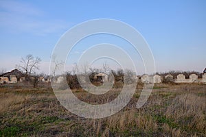 A ruined barn on an abandoned livestock farm. Ruins overgrown with plants