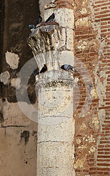 Ruined column of ancient building and doves on it, selective focus. Fragment of building , San Nicol photo