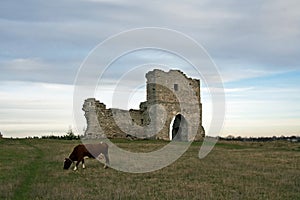 Ruined cossack gate and grazing cow