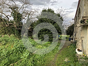 Ruined farmhouse abandoned