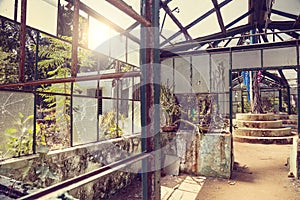 Ruined greenhouse
