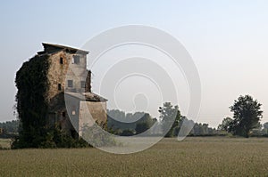 Ruined house in a field