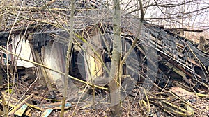 A ruined house in the forest. The roof and walls fell to the ground. Abandoned house. Everything around the house was overgrown