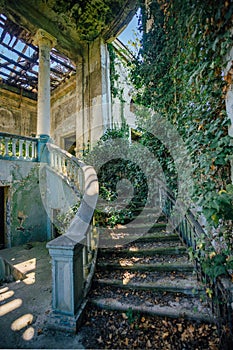 Ruined mansion interior overgrown by plants Overgrown by ivy spiral staircase and column