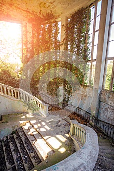 Ruined mansion interior overgrown by plants Overgrown by ivy staircase