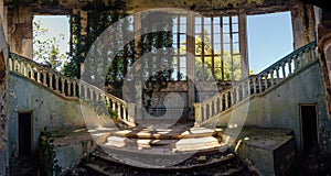 Ruined mansion interior overgrown by plants Overgrown by ivy windows and old staircase photo