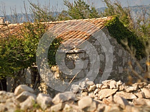 Ruined mediaeval sheppard Cottage and stone fence