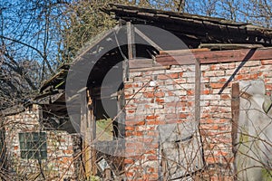 Ruined red-brick house with a low-slung verandah among tall, dry grass stalks and bare trees with signs of fire, blackened roof