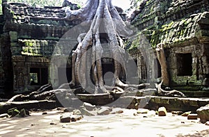 Ruined Temple, Cambodia