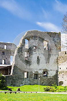 Ruined wall of Haapsalu Episcopal Castle photo