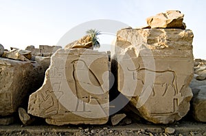 Ruined wall reliefs of Horus as a falcon and a bul