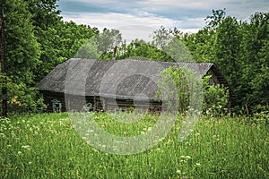 A ruined wooden house in the forest