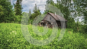 A ruined wooden house in the forest