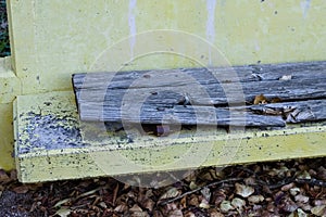 A ruined yellow concrete bench with a broken wooden seat Pesaro, Italy