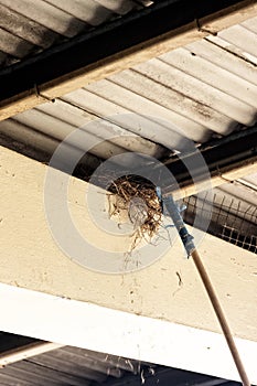 Ruining birds `nests on a railway platform