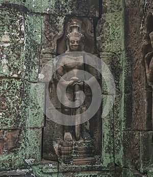 Ruins Of Abandon Temple - Angkor Wat