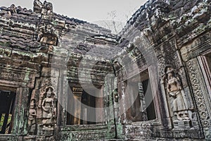 Ruins Of Abandon Temple - Angkor Wat